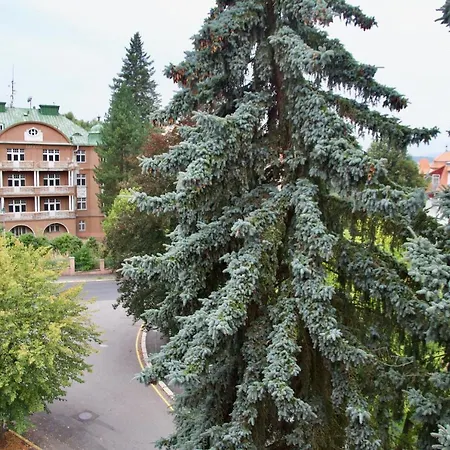 Apartmán Vladimír Poděbradská 1279 *