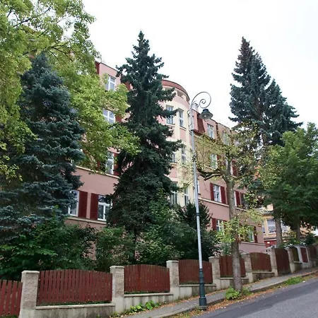 Apartman Vladimir Podebradska 1279 *